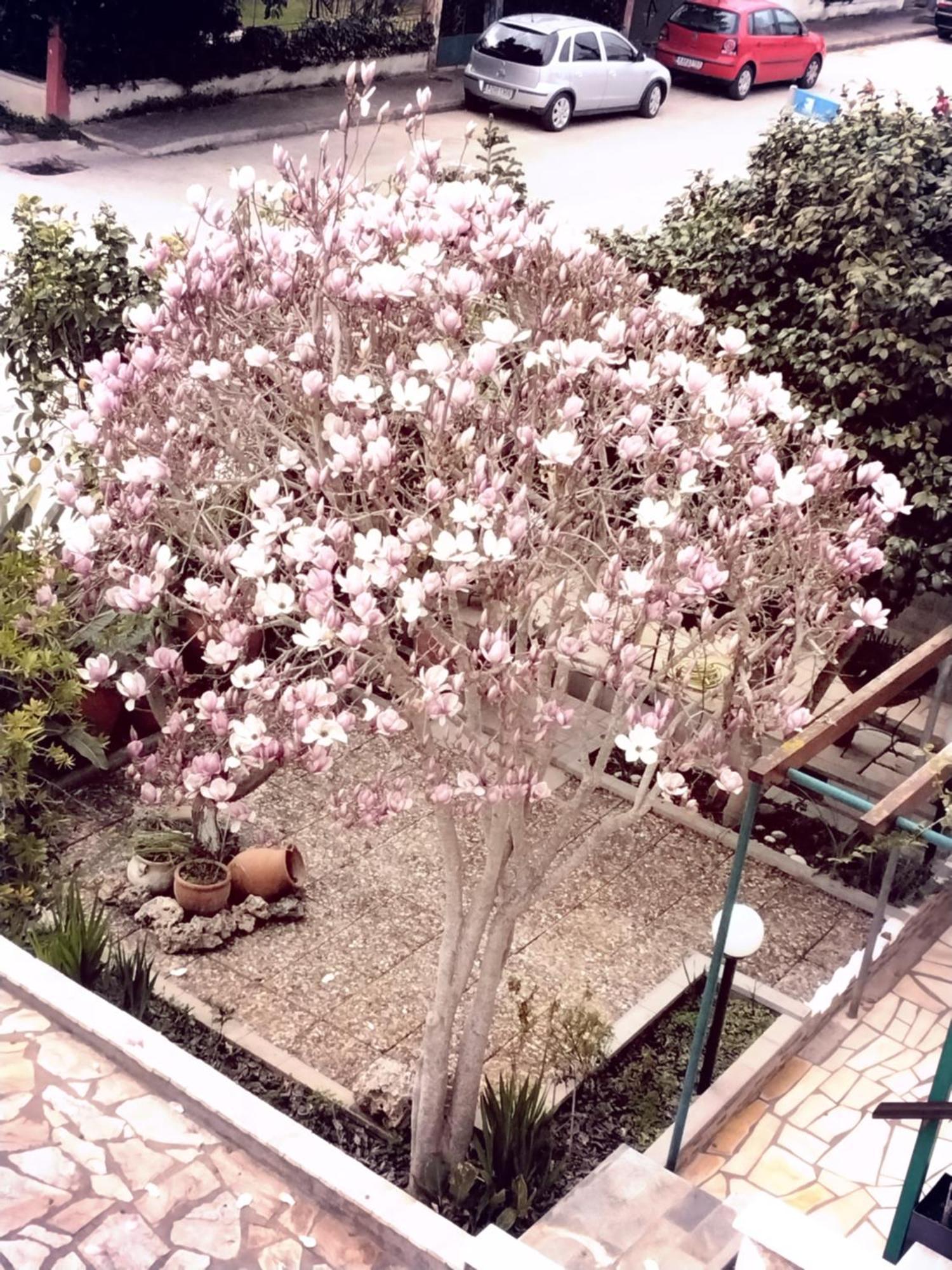 Αlexandras House Apartment Preveza Bagian luar foto